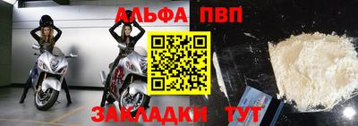 бошки Кингисепп
