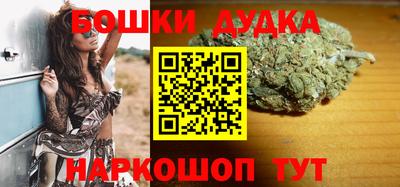 бошки Кингисепп