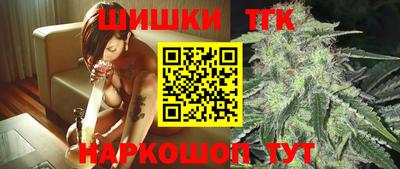 бошки Кингисепп