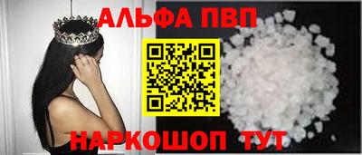 бошки Кингисепп