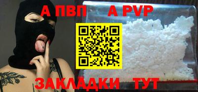 бошки Кингисепп