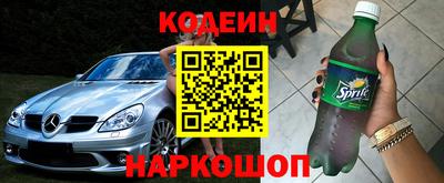бошки Кингисепп