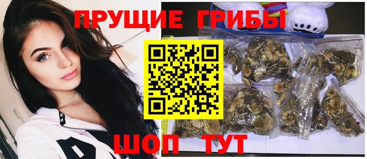 Псилоцибиновые грибы мицелий Клин