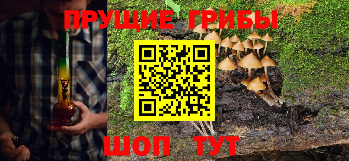 Галлюциногенные грибы мухоморы  Вход с VPN  Клин  Псилоцибиновые грибы мухоморы 